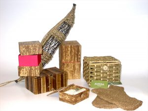 Going green, global ecology, preservation of the ecosystem, environmental packaging materials, recyclable packaging, biodegradable packaging, clean packaging processes, 100% recycled paperboard, APET packaging, PLA packaging, agrisoy inks, injection molded packaging, thermoformed packaging, fragrance folding cartons, rigid cosmetic set boxes, glassware, handcrafted products, sustainable materials, Aveda packaging, Stila packaging